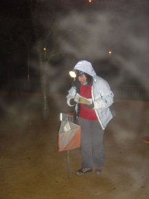 Nocturna