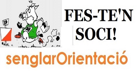 Alta de soci