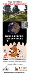 World Record 250 Controls