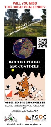 World Record 250 Controls